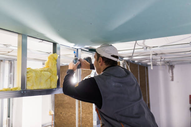 Best Residential Insulation in Fairlawn, VA