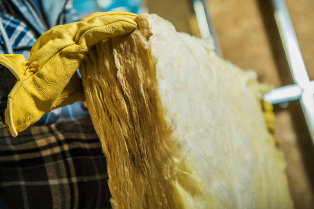 Best Cellulose Insulation in Fairlawn, VA